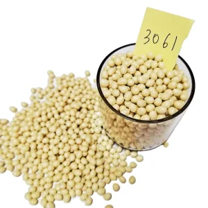 China Factory EVA Glue Hot Melt Book Binding Hot Melt Adhesive