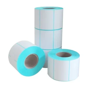 Self-Adhesive Direct Thermal Shipping Labels
